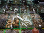 Mis_147