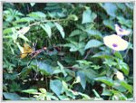 2008-08-31_08