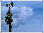 2008-08-31_34