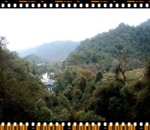 Excellent natural landscape
