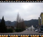 Take a walk~