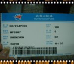 Domestic flight to SHENZHEN