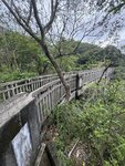 IMG_0889