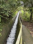 IMG_0907
