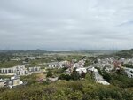 IMG_5771