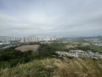 IMG_5775