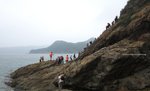 IMG_2929