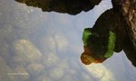 IMG_2931