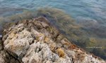 IMG_2933