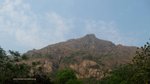 IMG_2450
