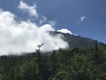 IMG_5806