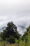 P1040674
