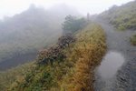8:40  開始下雨了