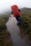 越行,  雨, 越來越大