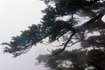 P1040829