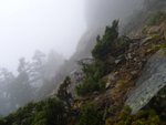 大霸尖另一面低部