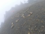 這裡叫 ( I love U) 平台. 行山人多在此玩砌字  領隊話仲有30min 到山屋, 但係...........
