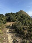 IMG_3284