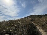 IMG_3350
