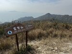 IMG_3354