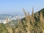 IMG_5512