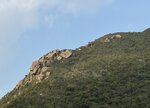 IMG_8003