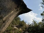 IMG_8009