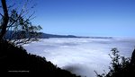 第二天的雲海, 山像海島一樣