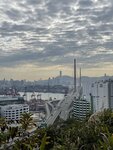 IMG_8875