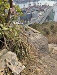 IMG_8925