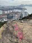 IMG_8945