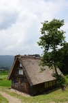 DSC_8944
