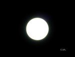 DSC_0005