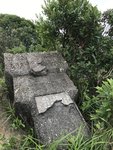 IMG_3639