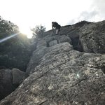 IMG_3698