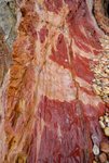 你話似咩肉
