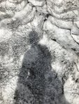 IMG_5509