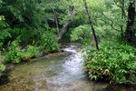P1070308