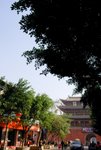 朝陽樓