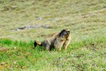 DSC_0256a 1024