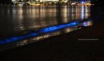 DSC_0037a