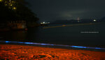 DSC_9998a