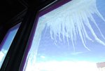 DSC_0946_1024