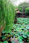 清暉園