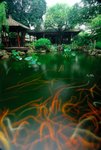 清暉園
