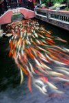 清暉園