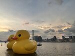 IMG_9120