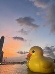 IMG_9149