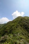 純陽峰, 仲有排上