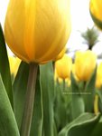 IMG_1081